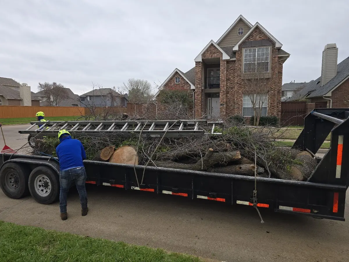 Expert Tree Fertilization with proper safety equipment in Balm